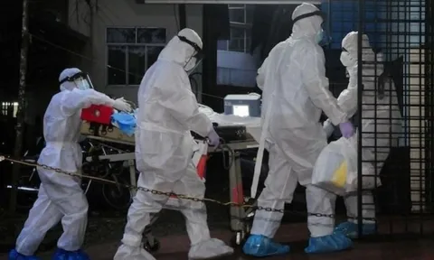 Virus Nipah bùng phát ở Ấn Độ, TP.HCM ra thông báo mới