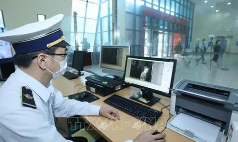 Virus Nipah xuất hiện trở lại, Việt Nam siết chặt phòng dịch