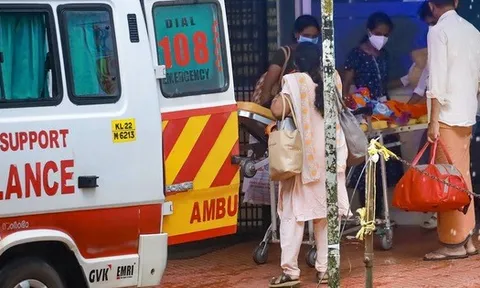 WHO, CDC nói về virus Nipah: Ai có nguy cơ, nguy hiểm đến đâu?