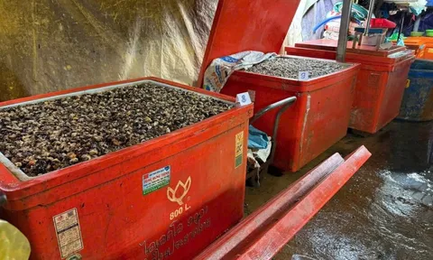 Rúng động đường dây 'phù phép' 3.000 tấn thịt ốc bằng hóa chất công nghiệp