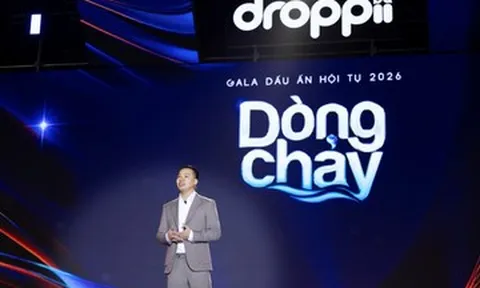 CEO Droppii: ‘Học thuế trước khi học bán hàng không phải là bước lùi’