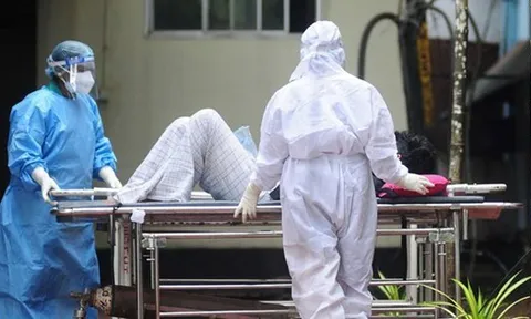 Chuyên gia giải mã lý do Nipah có tỷ lệ tử vong rất cao, nguy cơ đại dịch xảy ra khi nào?