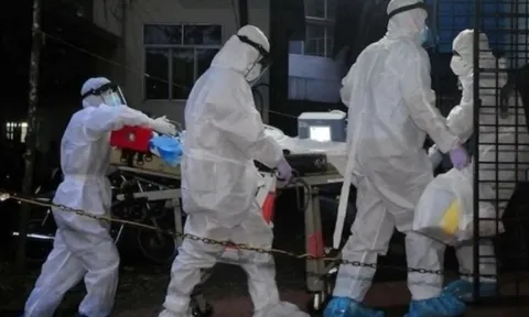 Virus Nipah nhóm A gây tử vong tới 75%, Bộ Y tế ra văn bản hỏa tốc