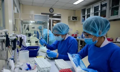 TPHCM lấy mẫu tầm soát virus Nipah trên bệnh nhân viêm não