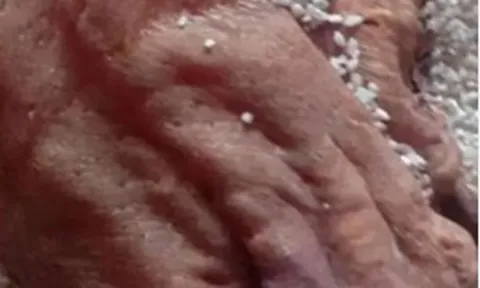 Mở thùng gạo phủ bụi, người đàn ông phát hiện vật thể khô bị lãng quên 50 năm, giá trị ngang căn biệt thự