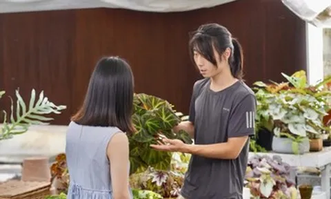 Bỏ ngành tài chính lương cao về quê trồng hoa, chàng trai 9X thu tiền 'khủng'