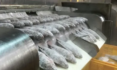 Không phải sầu riêng hay đất hiếm, một kho báu của Việt Nam được Mỹ liên tục săn lùng: Xuất khẩu tăng 499%, nước ta có lợi thế về thuế