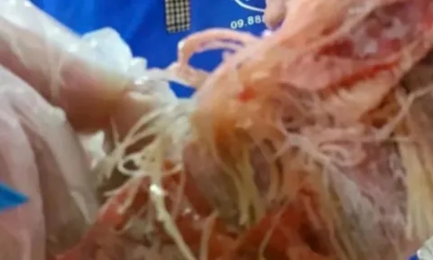 Vụ nghi thịt bẩn vào hàng loạt trường ở TPHCM: 'Hiệu trưởng bủn rủn tay chân'