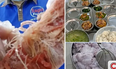 Chân dung Sago Food: Doanh nghiệp đứng sau các suất ăn trường học