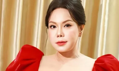 Việt Hương nộp đơn tố cáo