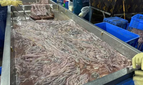 Phát hiện gần 60 tấn lòng lợn bốc mùi, đổi màu bên trong kho lạnh ở Hà Nội