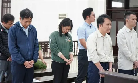 Xét xử 6 bị cáo trong vụ trúng đấu giá mỏ cát 370 tỷ đồng