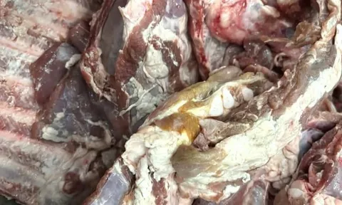 Vụ sườn heo đông lạnh "có màu lạ" đưa vào trường học: Chấm dứt hợp tác với đơn vị cung cấp thực phẩm