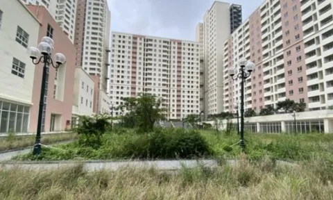 7 hành vi vi phạm về đất đai có thể bị khởi tố, người dân cần lưu ý