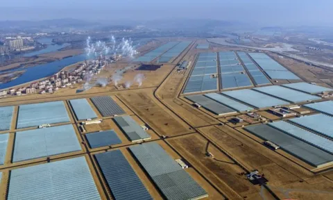 Ảnh hiếm trang trại nhà kính lớn nhất Triều Tiên