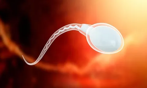 Hay dùng đồ nhựa "1 lần", quý ông có thể gặp nguy