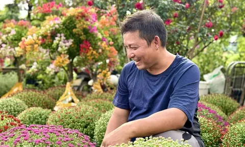 Hoa Tết TP.HCM bán chạy, nhiều nhà vườn 'cháy' hàng sớm