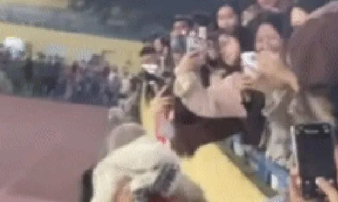 Văn Hậu hôn Doãn Hải My giữa sân Hàng Đẫy trước hàng ngàn khán giả gây xôn xao