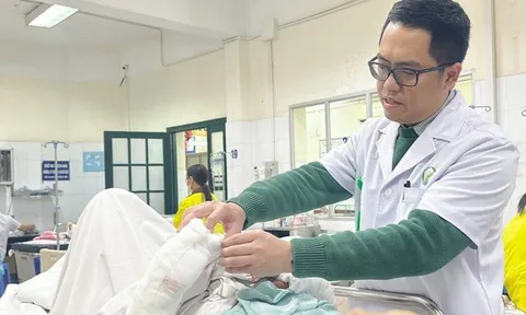 Bị chó tấn công, bà cụ 75 tuổi nguy kịch