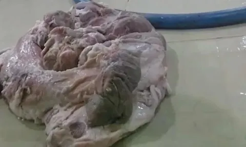 Vụ nghi thịt bẩn tuồn vào trường học: Sở An toàn thực phẩm TPHCM lên tiếng