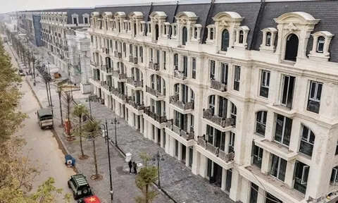 Vừa tham gia khởi công dự án gần 700 ha, Sunshine Group đang triển khai thi công các dự án khác ra sao?