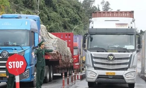 Tạm dừng áp dụng Nghị định số 46 về an toàn thực phẩm đến hết ngày 15/4/2026