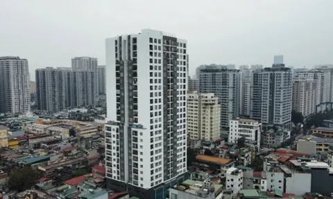 Doanh nghiệp BĐS nở rộ lập mới đầu năm, thị trường bước vào chu kỳ sàng lọc