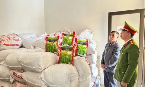 Triệt phá đường dây bán gạo giả nhãn hiệu 'Thơm Lài Sữa'