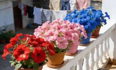 Loài hoa ven đường đang tạo ra thị trường nửa tỷ USD mỗi năm