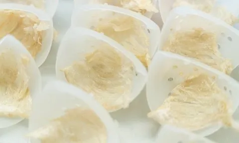 Lần đầu trong lịch sử, Campuchia chuẩn bị đưa một sản vật sang Trung Quốc