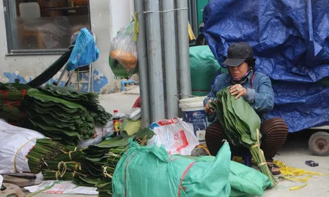 Chợ lá dong lớn nhất TPHCM chỉ họp mỗi năm một lần, nhưng sao ngày càng buồn?