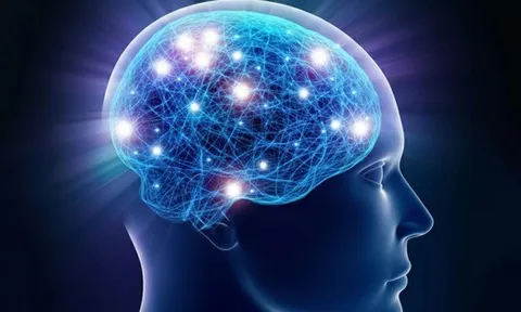 Phát hiện “công tắc" đảo ngược lão hóa