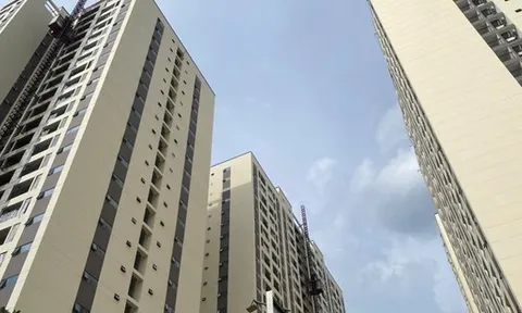 Chủ đầu tư được ưu tiên bán nhà ở xã hội cho người đang thuê đủ điều kiện trước hạn 10 năm