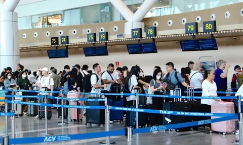 TP. Hồ Chí Minh ra thông báo nóng về virus Nipah: Những người chuẩn bị nhập cảnh cần biết NGAY LẬP TỨC!