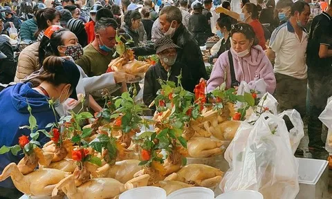 "Mua gà từ nông dân để bán cúng thắp hương ngày rằm, mùng 1 và Tất niên có cần phải ghi chép, kê khai hay không?" - Cục Thuế trả lời