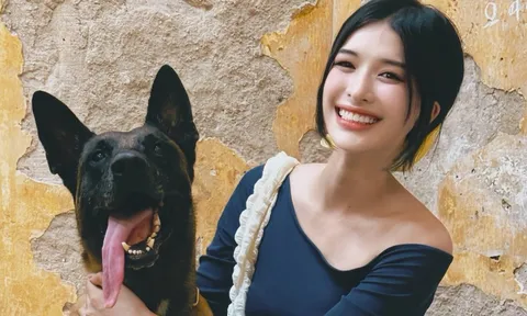 Cả MXH Việt chán ghét 1 mỹ nhân cực xấu tính: Ngoại tình còn giả vờ thanh cao, tham lam ích kỷ không ai bằng