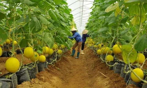 Khởi động hành trình 'người trẻ kể chuyện văn hoá Việt Nam'