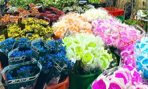 Chợ hoa đêm Quảng Bá - 'Hồn Tết' của đất Hà Thành