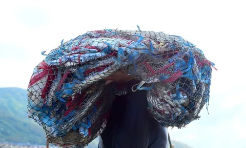 Sản vật biển của Việt Nam tạo "cơn sốt" tại Mỹ, đơn hàng áp đảo thị trường