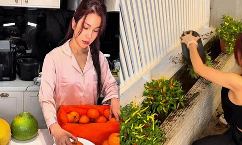 Diệp Lâm Anh gây bão với loạt clip nữ công gia chánh, phản hồi thẳng thắn khi netizen réo tên Vũ Thúy Quỳnh