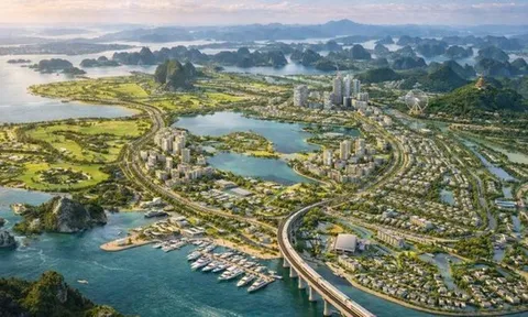 Kỷ lục Vinhomes: Khởi công và ra mắt 13 dự án quy mô hơn 20.000 ha chỉ trong 1 năm, lọt top 500 doanh nghiệp tốt nhất châu Á – Thái Bình Dương của TIME