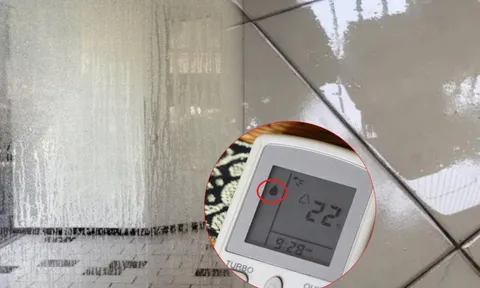 9 món đồ giúp “đánh bay” nồm ẩm trong nhà, có món giá chỉ từ 25.000 đồng