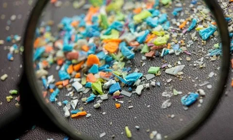 Vi nhựa xuất hiện trong một loạt khối u ung thư