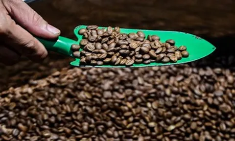 Mở hàng đầu năm, nhiều nước chi tiền gấp 3-4 lần mua một loại hạt của Việt Nam