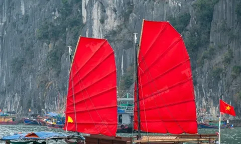 Lý do thuyền buồm đỏ ‘gây sốt’ vịnh Hạ Long tạm dừng hoạt động