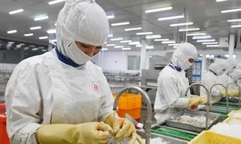 Vàng tăng phi mã trước xung đột Mỹ-Israel với Iran; thế mạnh Việt đón tin vui