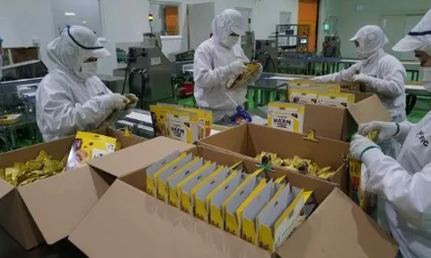 Một ‘đại bàng’ Nhật Bản chọn Việt Nam xây tổ, nước ta trở thành trung tâm xuất khẩu đi 12 nước