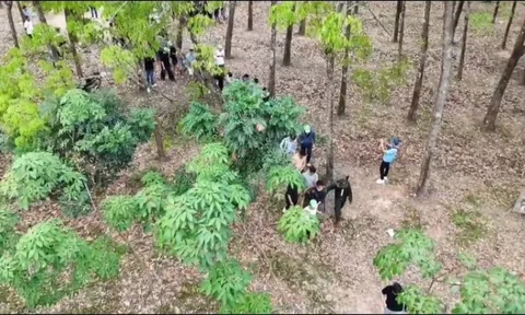 Phát hiện hơn 80 người tập trung tại một khu đất trống, công an sử dụng công nghệ cao vào cuộc