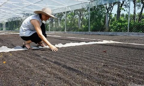 Việt Nam đón thêm tin vui từ Mỹ