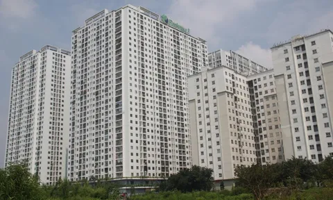 Thị trường nhà ở xã hội bớt nhiễu loạn sau thời gian 'cò' tự tung tự tác